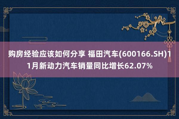 购房经验应该如何分享 福田汽车(600166.SH)11月新动力汽车销量同比增长62.07%