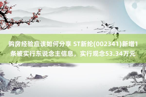 购房经验应该如何分享 ST新纶(002341)新增1条被实行东说念主信息，实行观念53.34万元