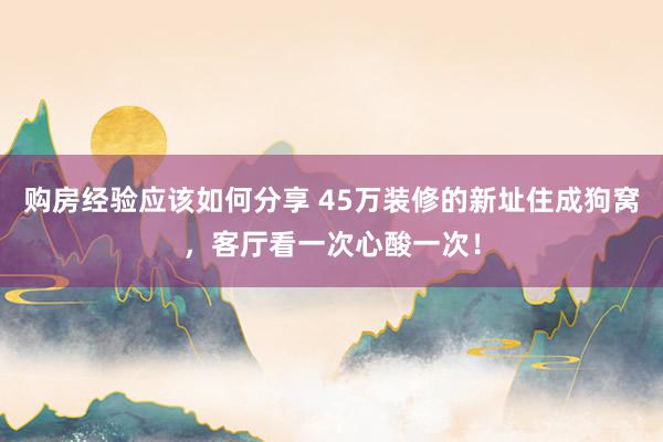 购房经验应该如何分享 45万装修的新址住成狗窝，客厅看一次心酸一次！