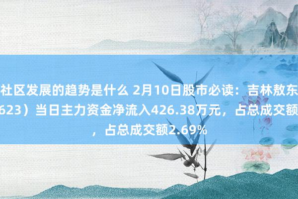 社区发展的趋势是什么 2月10日股市必读：吉林敖东（000623）当日主力资金净流入426.38万元，占总成交额2.69%